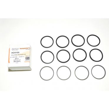 Brake Caliper Seal Kit (AP) AEU1547G