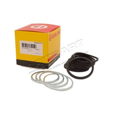Brake Caliper Seal Kit (GIRLING) 8G8587L AEU1547