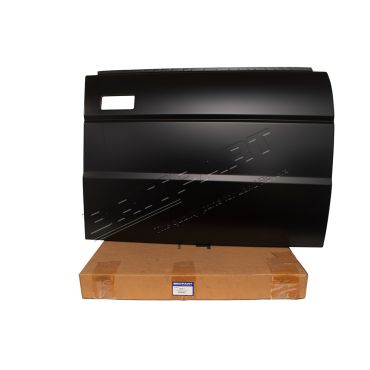 Door Skin Front RH D1 (OEM) ALR5822