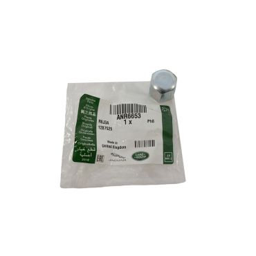Domed Nut Ace Pipe To Actuator (Genuine) ANR6653