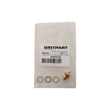 REPAIR KIT STROMBERG CARB BHM1079L