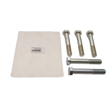 BOLT M16 x 100mm ZINC BX116201L