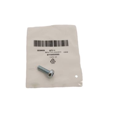 Bolt Rear End Door M8 x 25mm Torx (OEM) BYG000060