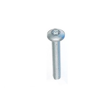 Bolt Rear End Door M8 x 50mm Torx (Genuine) BYG000070 BYG500120