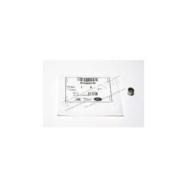 Nut (Genuine) BYH500150