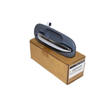 HANDLE ASSEMBLY-FRONT DOOR CXB102920LZW