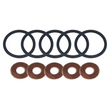 Fuel Injector O-ring Seals & Washer Kit (Britpart) DA2479