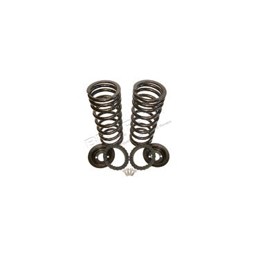 Air To Coil Spring Conversion Kit D2 (Britpart) DA5136
