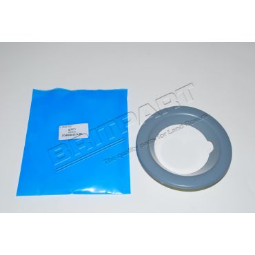 BEZEL FOG LAMP RH RRS 05-09 (BRITPART) DXB000221LML