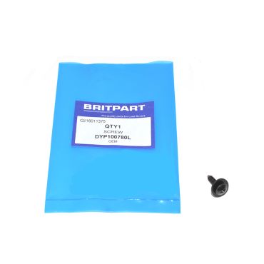 SCREW DYP100780L