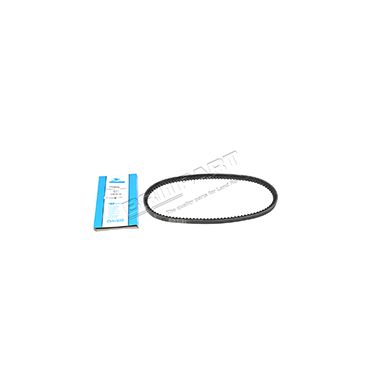 Drive Belt V8 Alternator (Dayco) ERR2073G