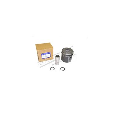 Piston &amp; Rings STD 300Tdi (Britpart) ERR2410