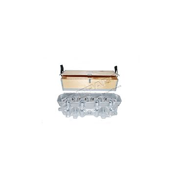 Cylinder Head 300Tdi (Britpart) ERR5027