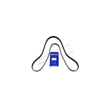 Drive Belt V8 (Britpart) ERR6899
