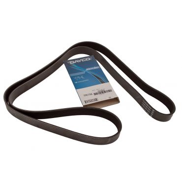 BELT (DAYCO) ERR6899