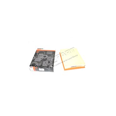 Air Filter Discovery 94-98 Tdi/V8 (Coopers) ESR1445C GFE2267