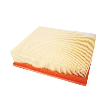 Air Filter P38 97-02  Td5 D2 V8  (Coopers) ESR4238 LR027408 PA7391