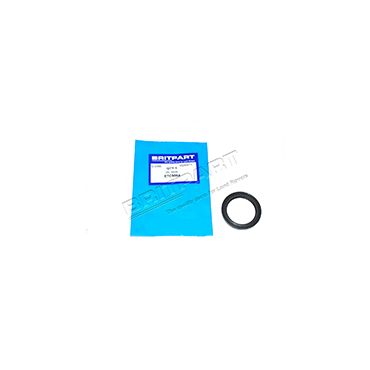 Camshaft Oil Seal 2.5/NA/TD/200TDI (Britpart) ETC5064
