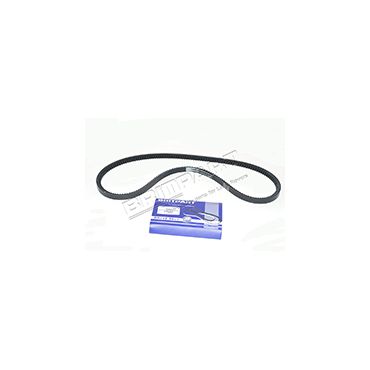 Drive Belt Td 2.4 VM LHD (Britpart) ETC9019