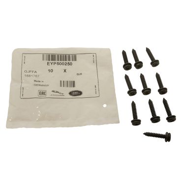 Screw (Genuine) QTY 10  EYP500250