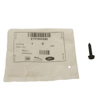 Screw (Genuine) QTY 10  EYP500250