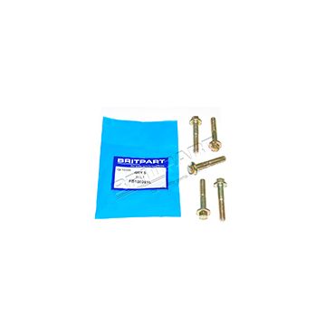 Bolt M8 x 45 (OEM) FB108091L