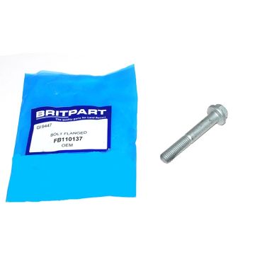 BOLT FLANGED FB110137