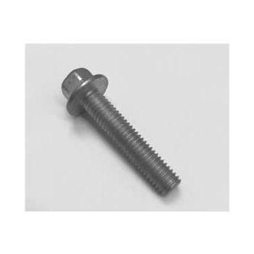 SCREW FLANGED (OEM) FS106307L