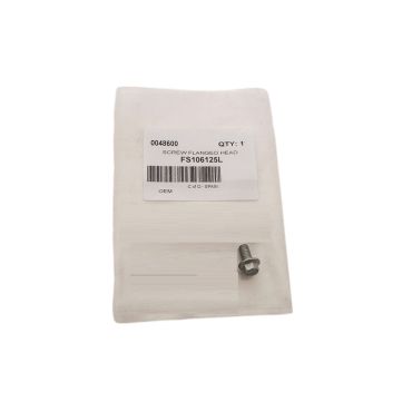 SCREW FLANGED HEAD M6x12mm FS106125L