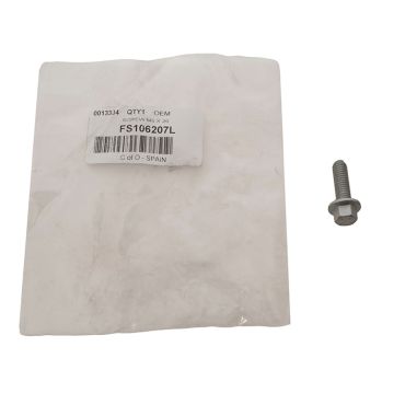 Bolt M6 x 20mm (OEM) FS106206 FS106207L