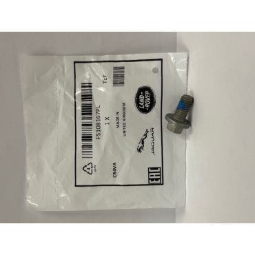 Bolt for Air Suspension Tank (RQN500070) Genuine FS108167PL 