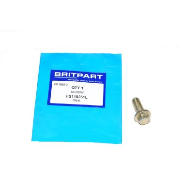 SCREW FS110251L