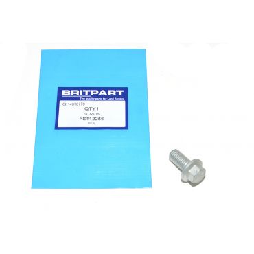 Screw (Britpart) FS112256