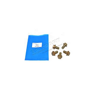 Roll bar Mounting Bolt (OEM) FT110206