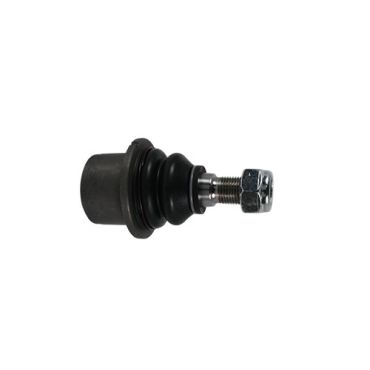 Ball Joint Front Lower P38 D2 (Dayco) FTC3571