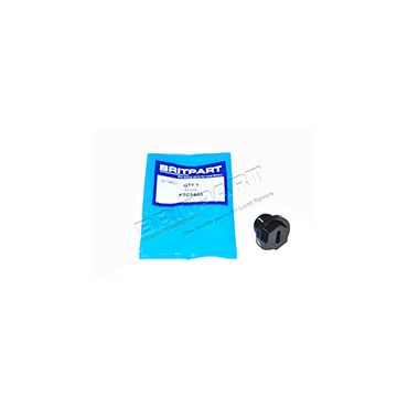 Axle Filler Plug (Plastic) (Britpart) FTC5403