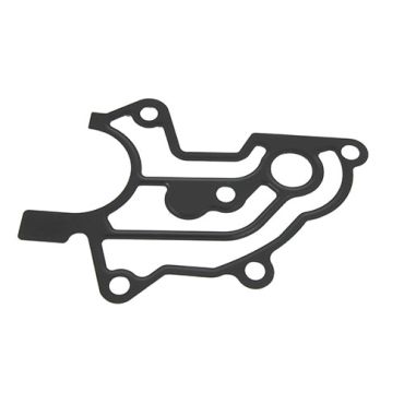 Gasket Vanos Cyl. 5-8 M62 V8 BMW (Britpart) LJQ000020