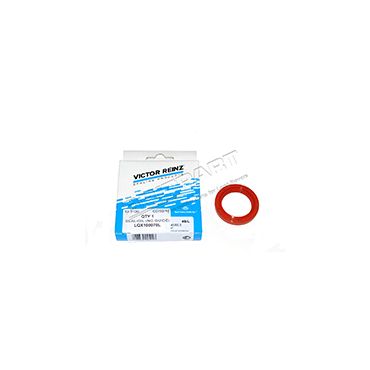 Oil Seal Crankshaft Front 2.5 V6 (OEM) LQX100070L