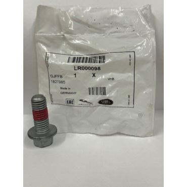 Rear Caliper Bolt Hex Head M12 x 30mm &gt;CH999999  Freelander 2 (Genuine) LR000098