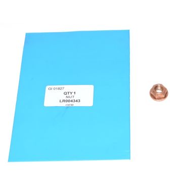 NUT (BRITPART)  LR004343