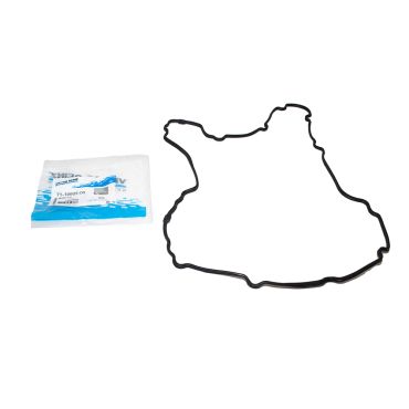 Cam Cover Rocker Gasket LH AJV8 (Reinz) LR007657 LDR500150 AJ812402