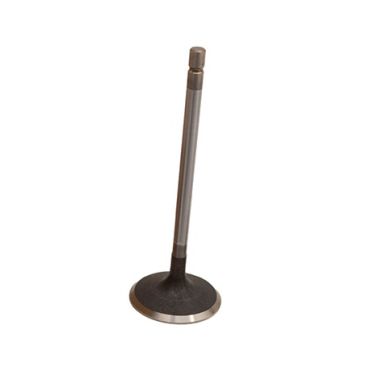 Valve Inlet (Britpart) LR010699
