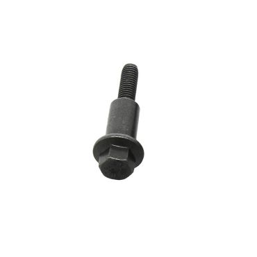 Chain Guide Bolt M6 x 38 mm (OEM) LR011064