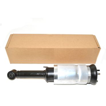 Air Spring Strut With ACE Front  (BWI) RNB501470 RNB501600 LR016415 *See Info*