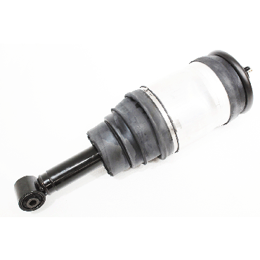 Air Suspension Strut Unit Rear RRS 05-13  (BWI) LR016419 *See Info*