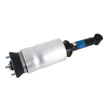 Air Spring Strut With ACE Front (DUNLOP) RNB501470 RNB501600 LR016415 *See Info*