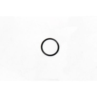 Injector Main O-Ring TDV6 TDV8 (Britpart) LR022992