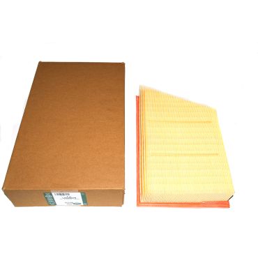 Air Filter 2.0 Petrol &amp; 2.2 TD4 (Genuine) LR029078 LR161844 *See Info*