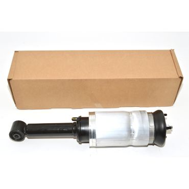 Air Suspension Strut Front D4 (BWI) LR018398 LR032646