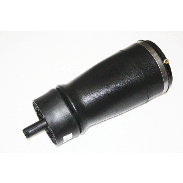 Air Spring Rear RH L494 (DUNLOP) LR044853
